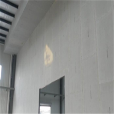 农安宁波ALC板|EPS加气板隔墙与混凝土整浇联接的实验研讨